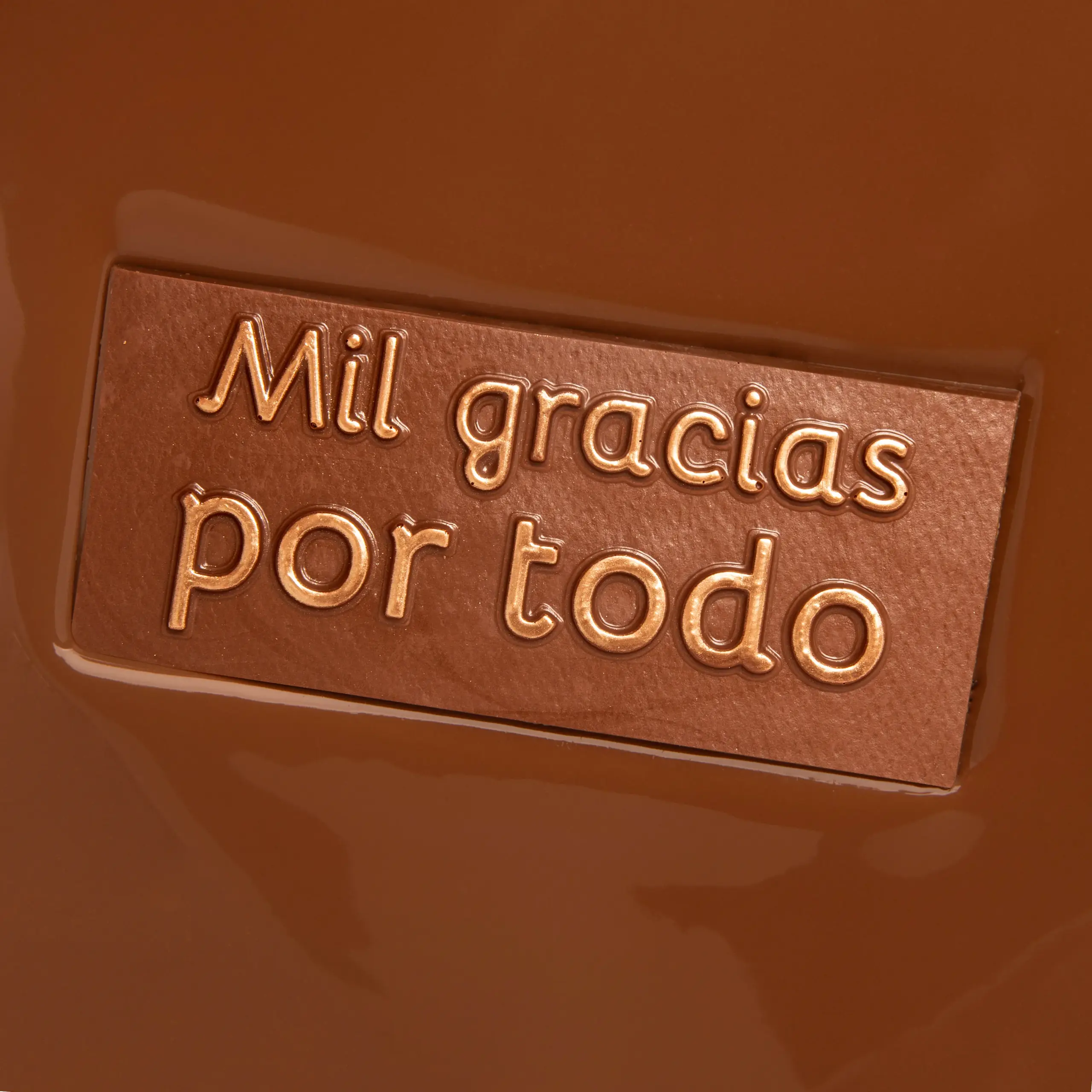 CHOCOLATE MIL GRACIAS POR TODO (LECHE) - Imagen 2