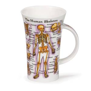 CUERPO HUMANO 2