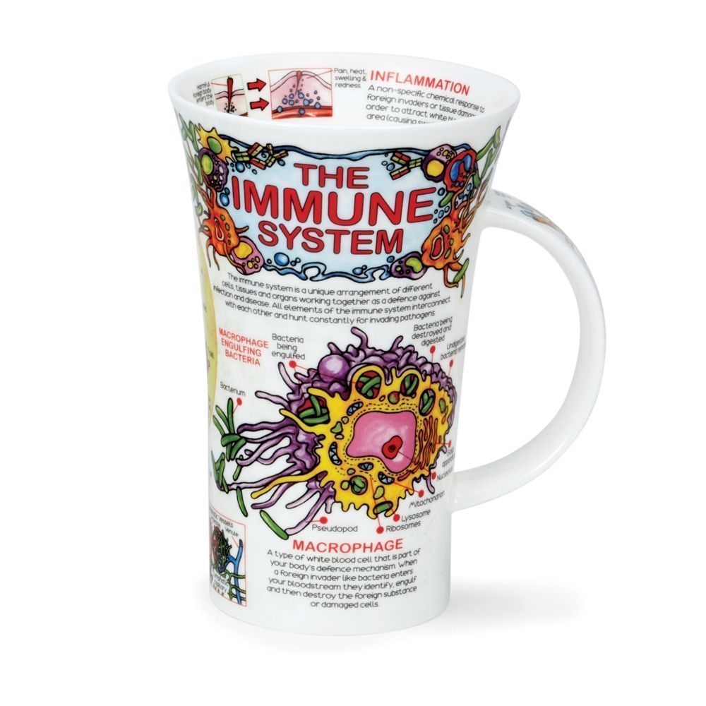 EL SISTEMA INMUNE