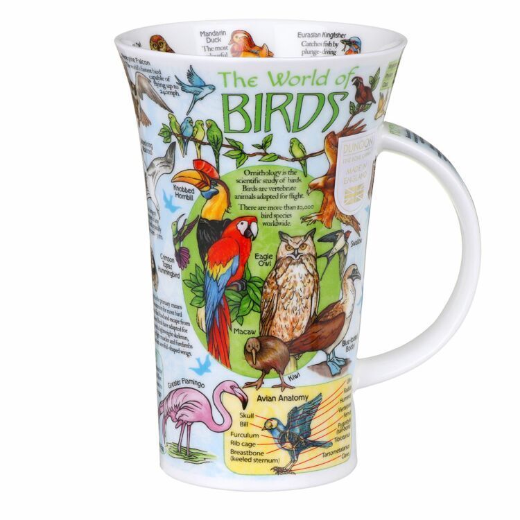mundo pájaros